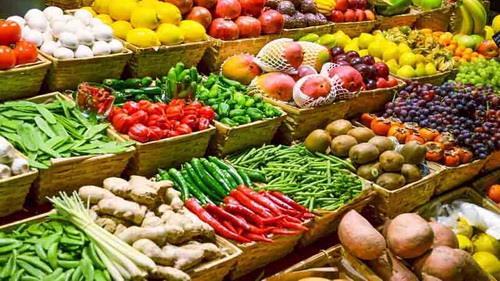 عراق واردات ۲۹ محصول کشاورزی را ممنوع کرد
